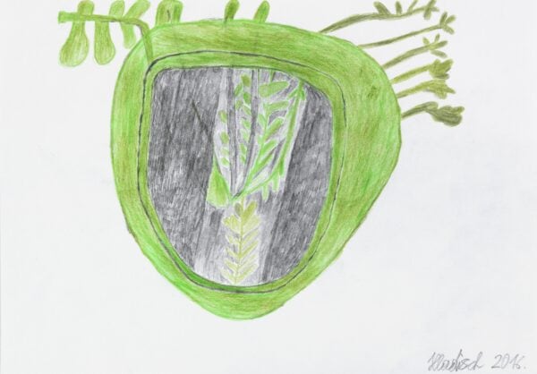 Blumenstock / Flowering plant