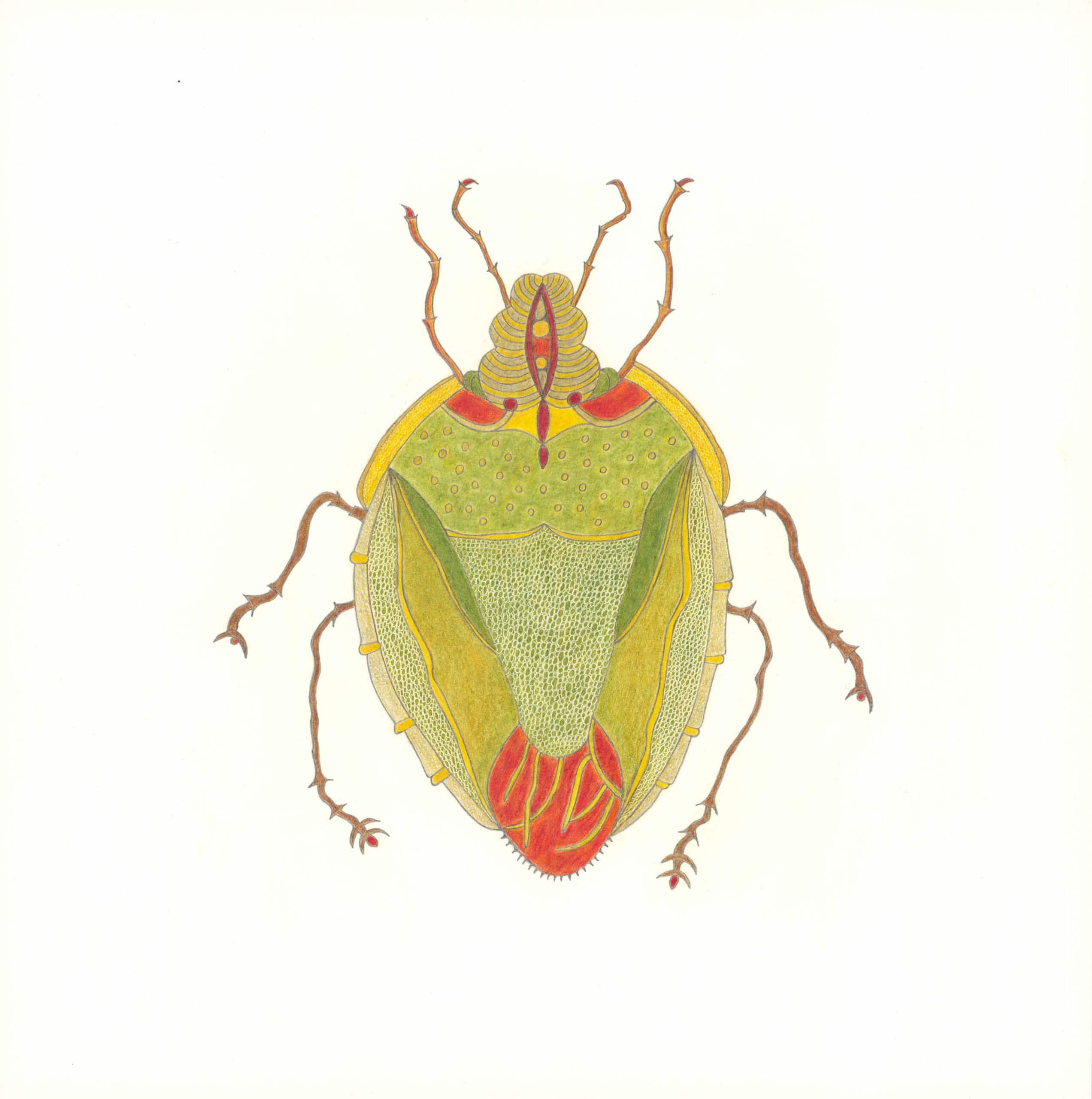 wiener christa - Ohne Titel / Untitled