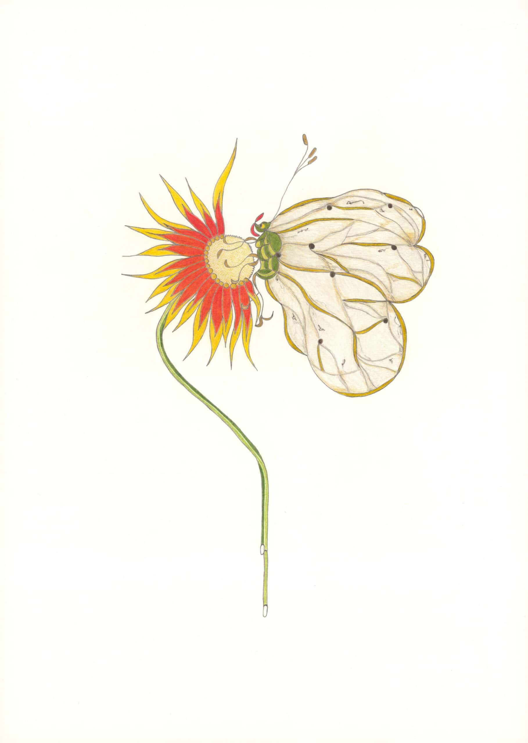 wiener christa - Ohne Titel / Untitled