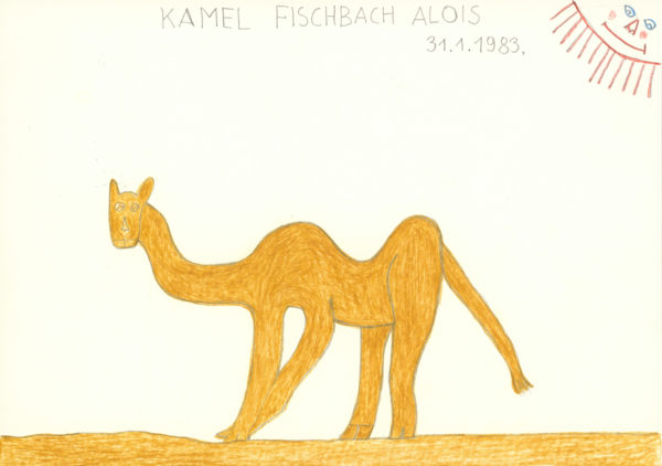 Kamel / Camel - fischbach alois