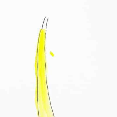 Banane / Banana