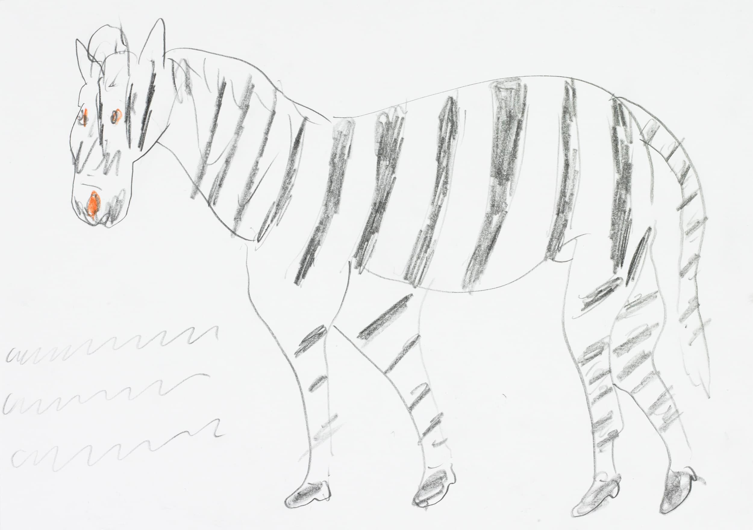 kamlander franz - Zebra
