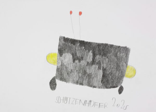 Ohne Titel / Untitled - schützenhöfer günther