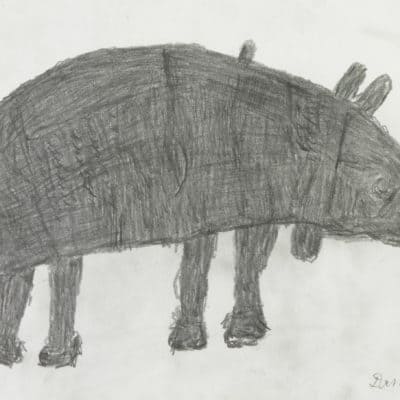 Nashorn / Rhino