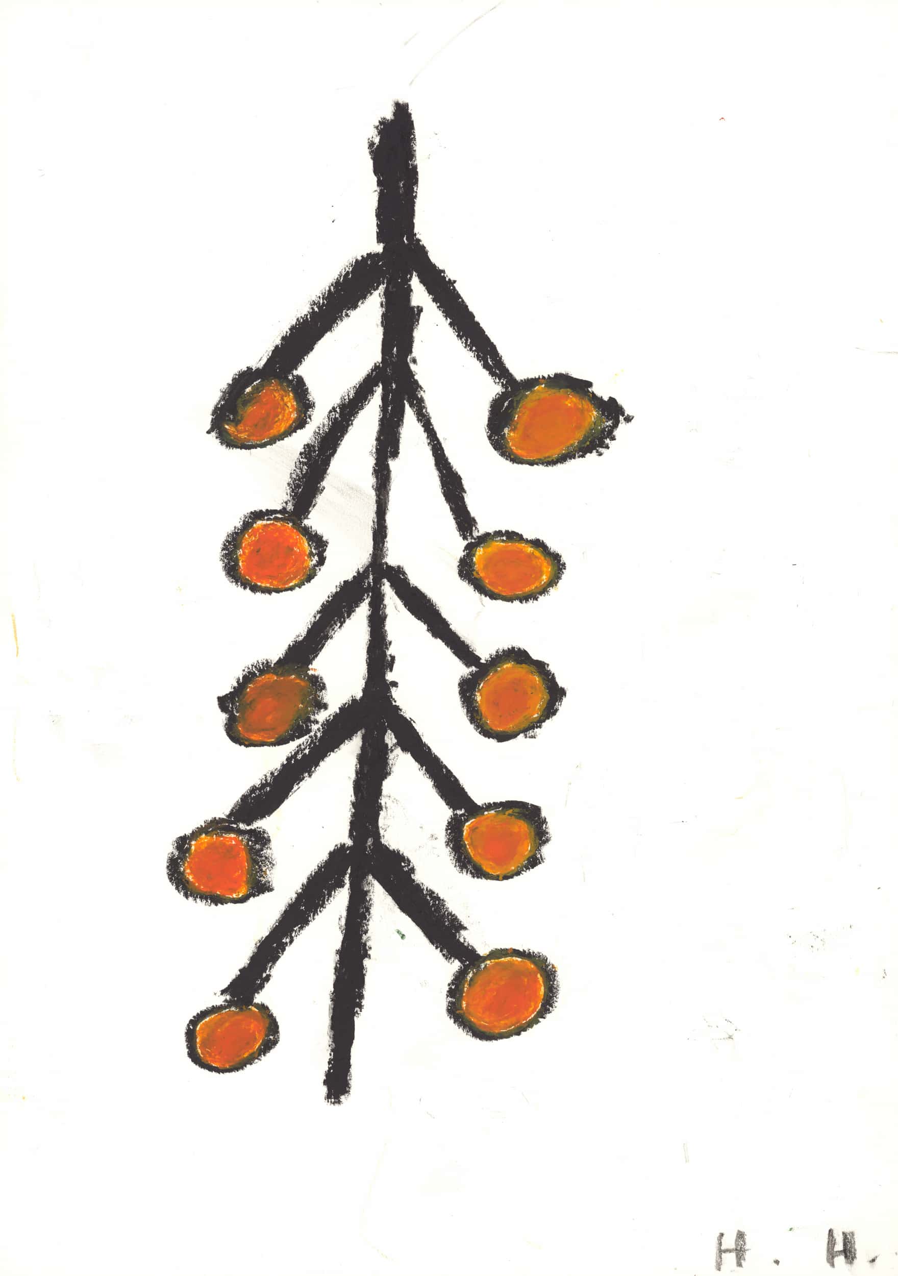 hladisch helmut - Marillenbaum / Apricot tree