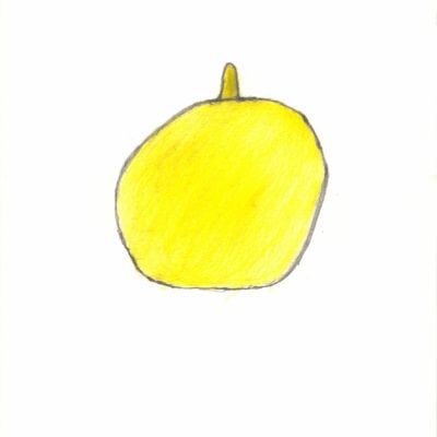 Zitrone / Lemon