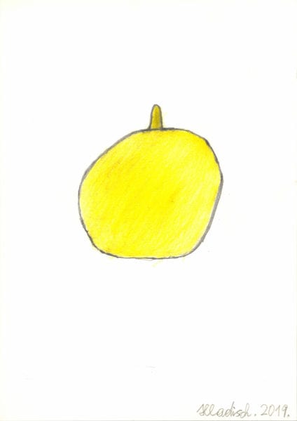 Zitrone / Lemon