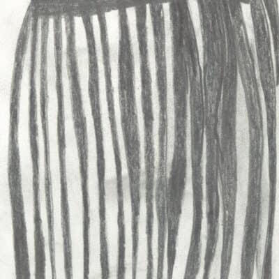 Der Kamm für lange Haare! / The comb for long hair!