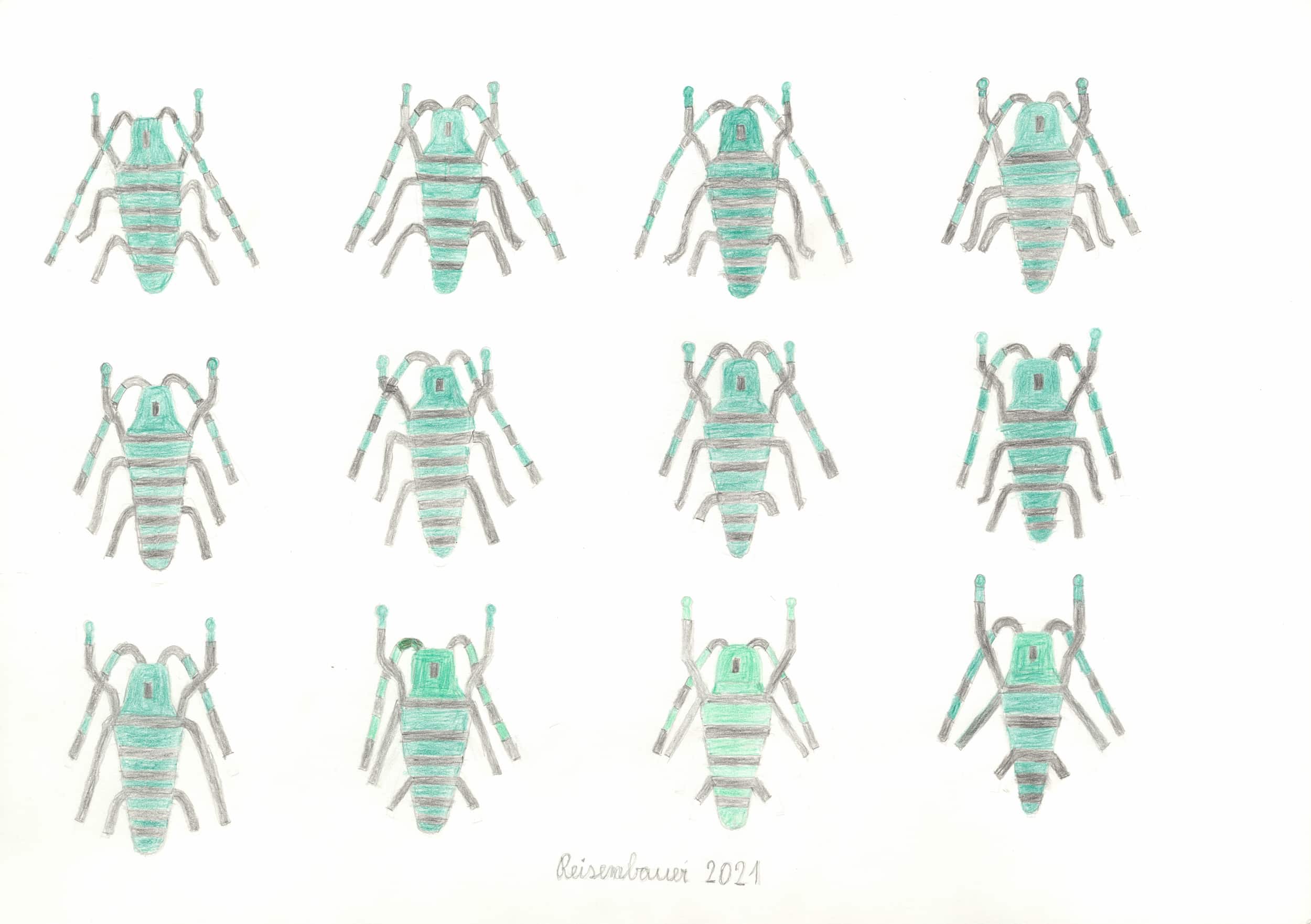 reisenbauer heinrich - Käfer / Beetles