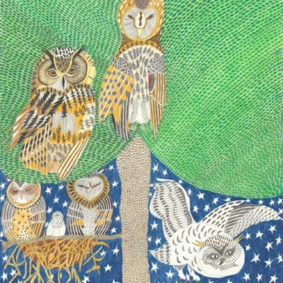 Eulen in der Nacht / Owls at night