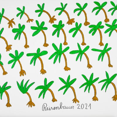 Palmen / Palm trees