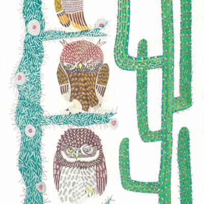 Eule von Mexiko / Owl of Mexico