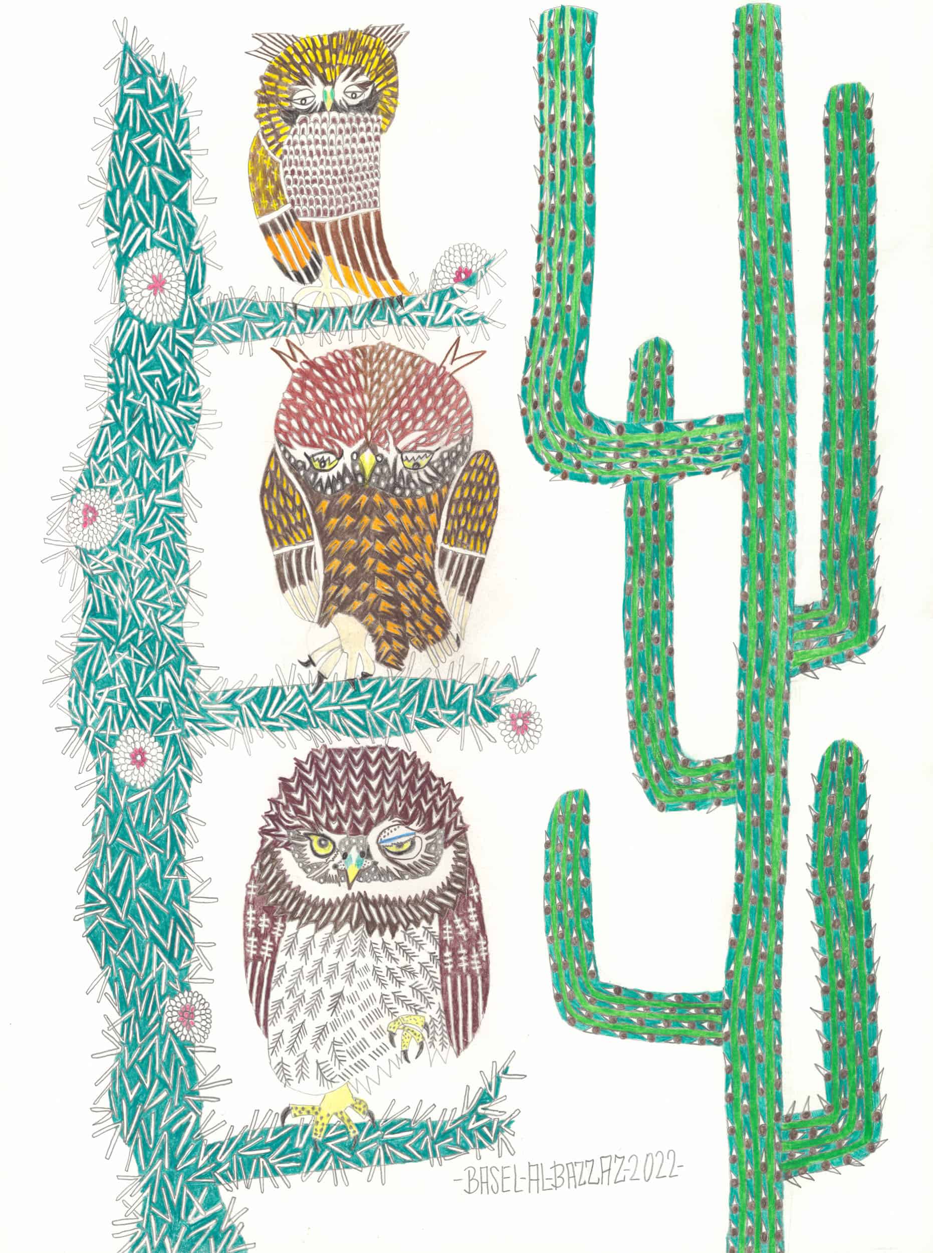 al-bazzaz basel - Eule von Mexiko / Owl of Mexico