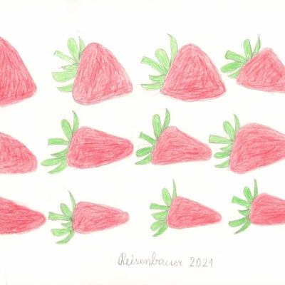 Erdbeeren / Strawberries