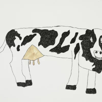 Kuh / Cow