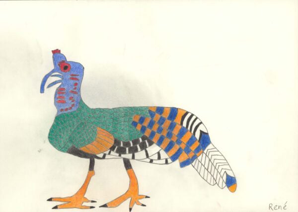 Birkhuhn/Black grouse - heinrich rené