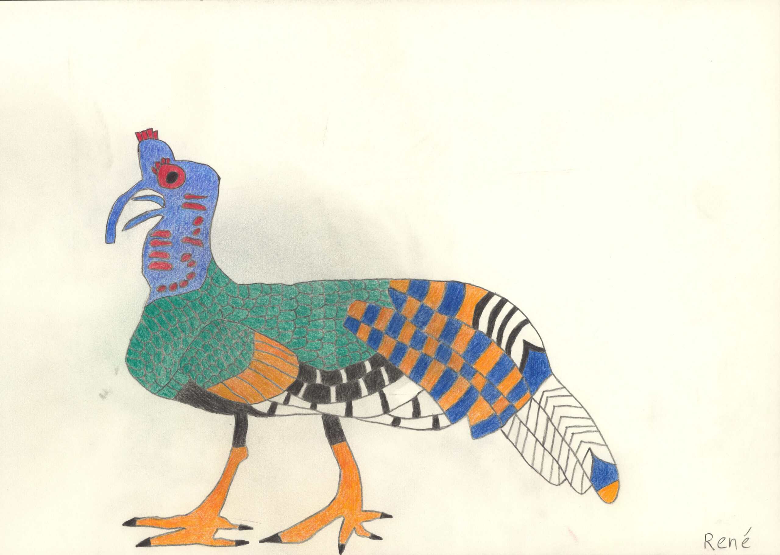 heinrich rené - Birkhuhn/Black grouse