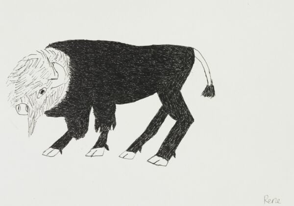 Bison - heinrich rené