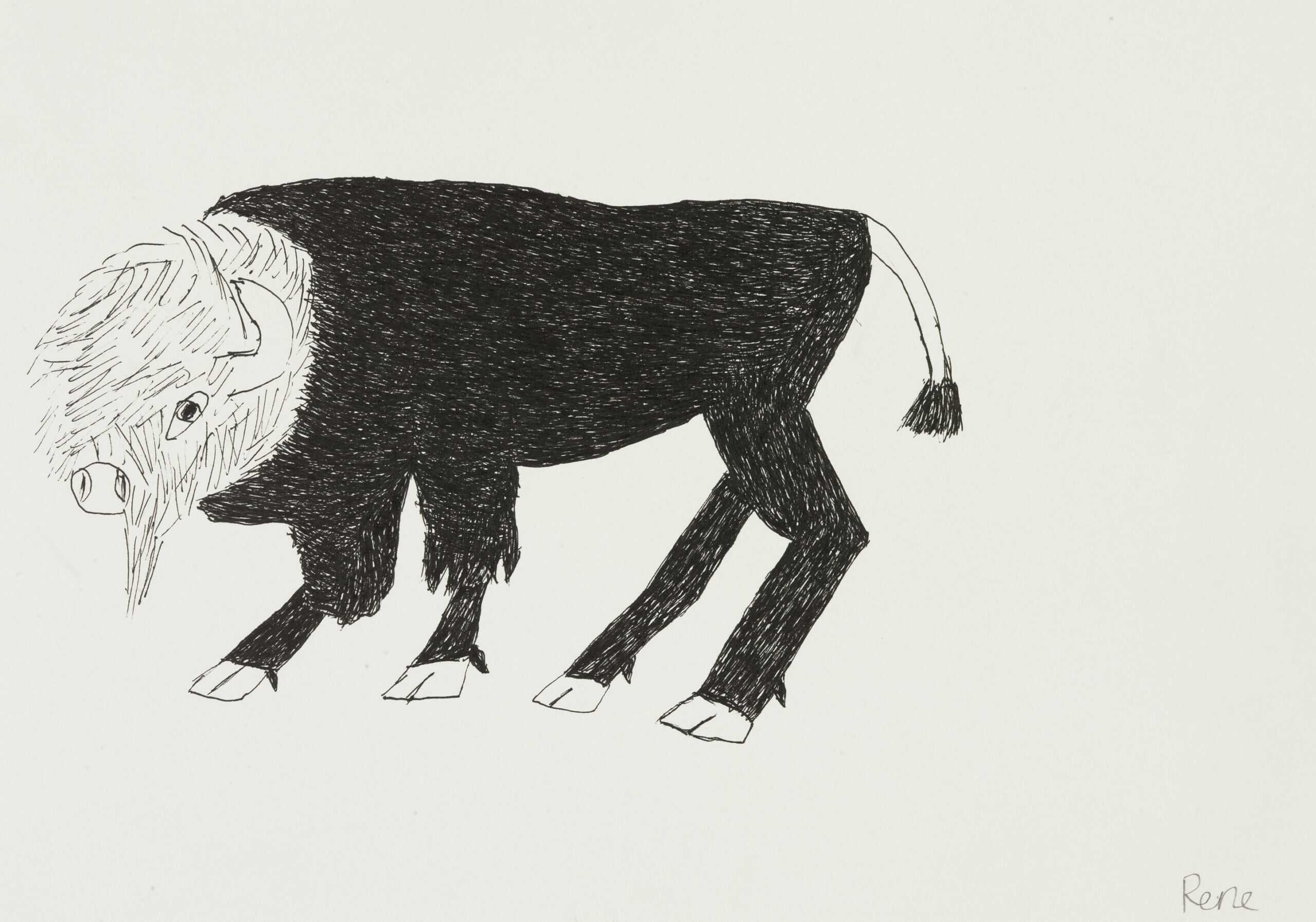 heinrich rené - Bison