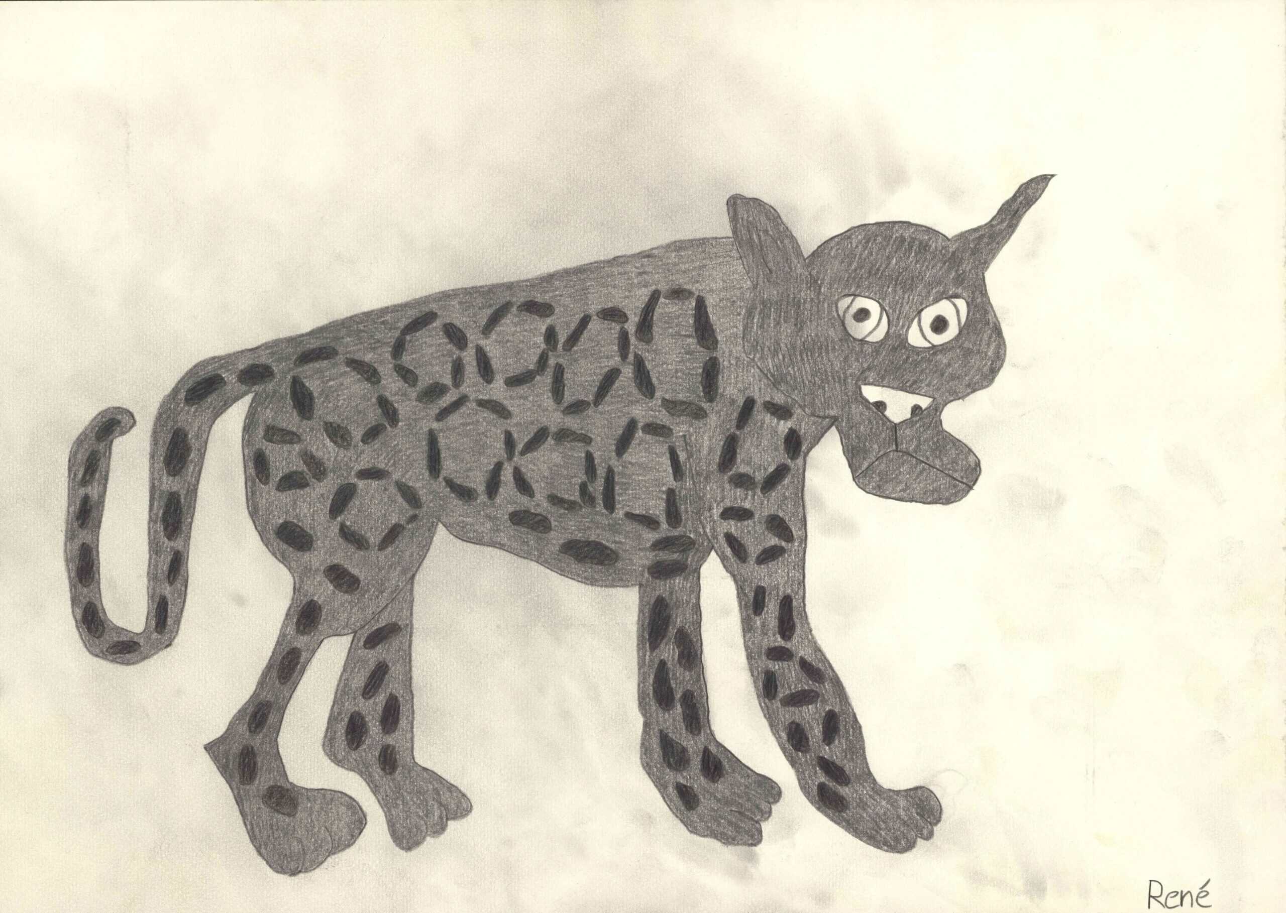 heinrich rené - Jaguar