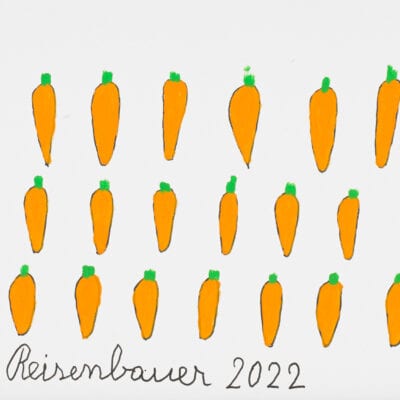 Karotten / Carrots
