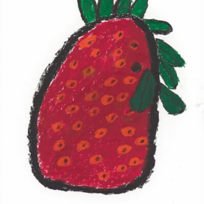Erdbeere / Strawberry