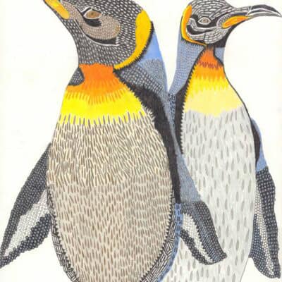 Königspinguine / King penguins