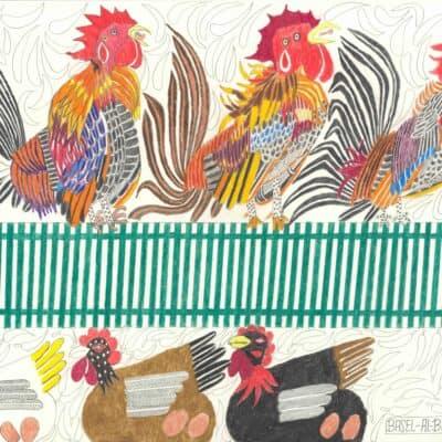 3 Hähne und 3 Hennen im Streit / 3 cocks and 3 hens in conflict