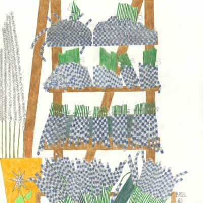 Lavendel auf der Treppe / Lavender on the stairs