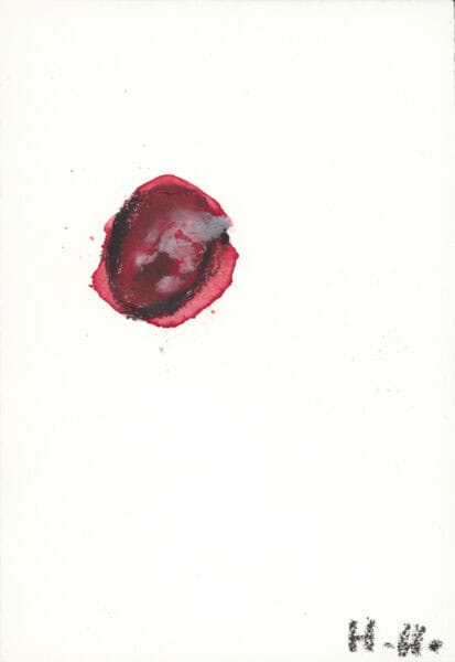 Erdbeere / Strawberry - hladisch helmut