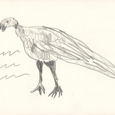 Vogel / Bird