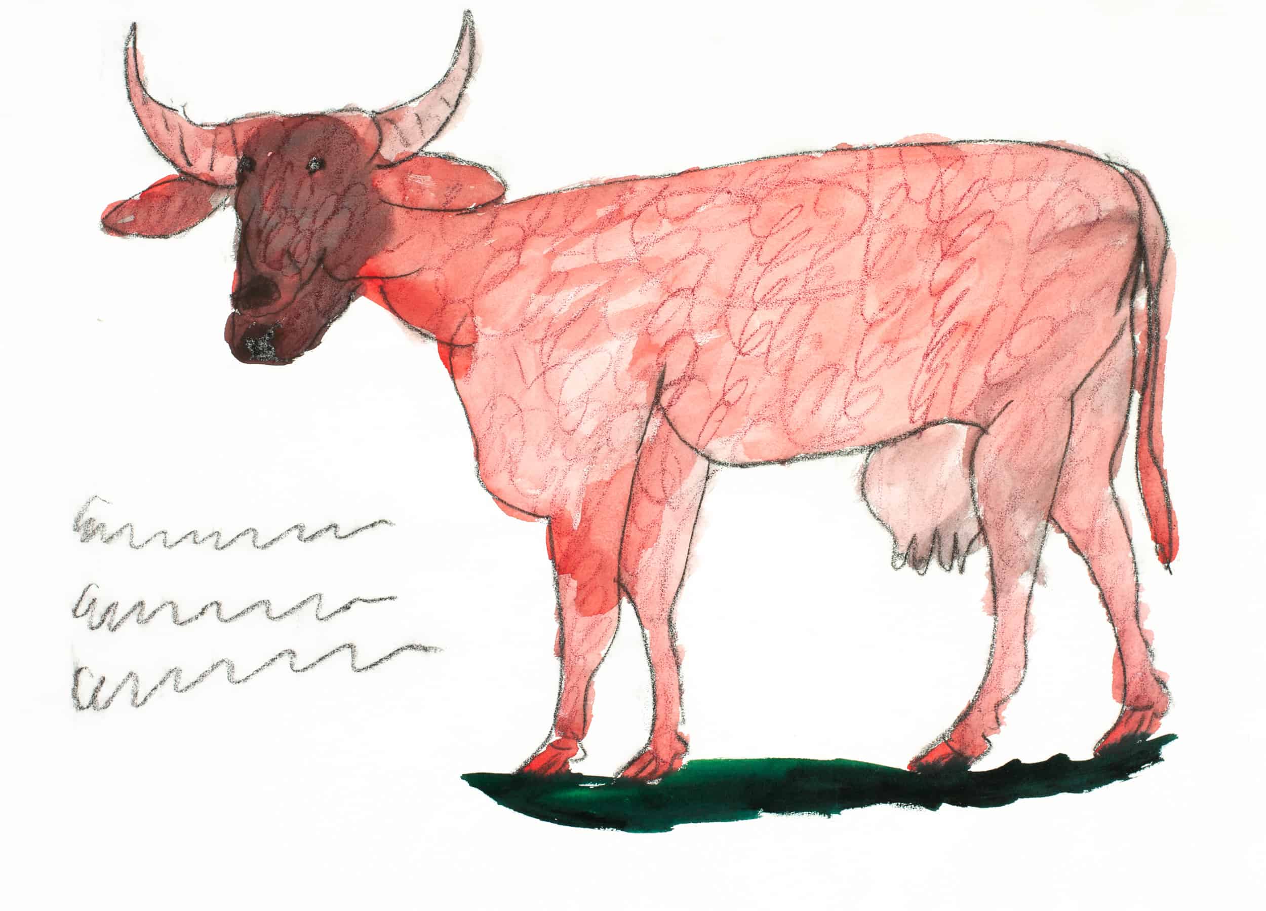 kamlander franz - Kuh / Cow