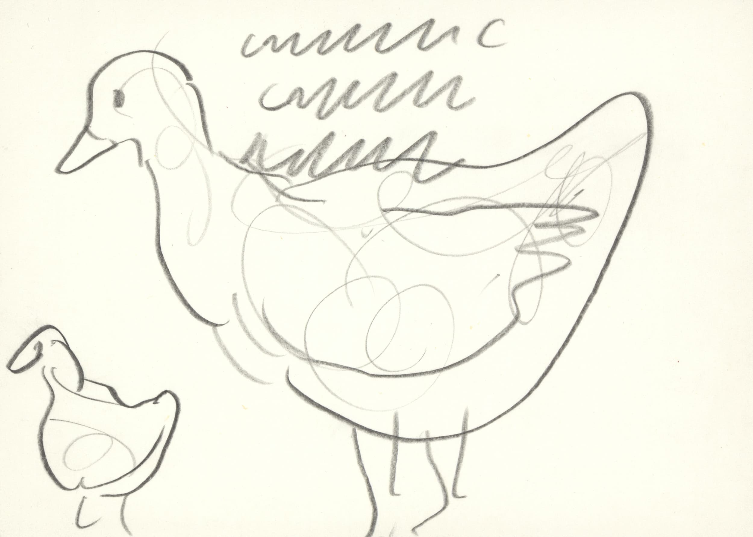 kamlander franz - Enten / Ducks