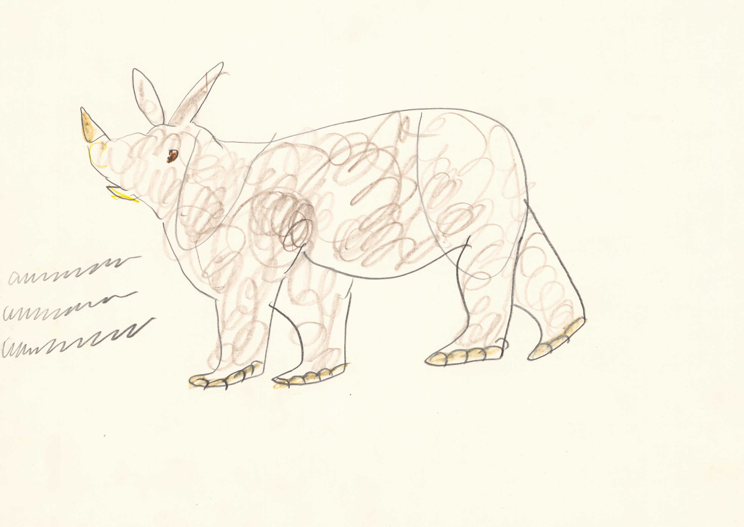kamlander franz - Nashorn / Rhinoceros