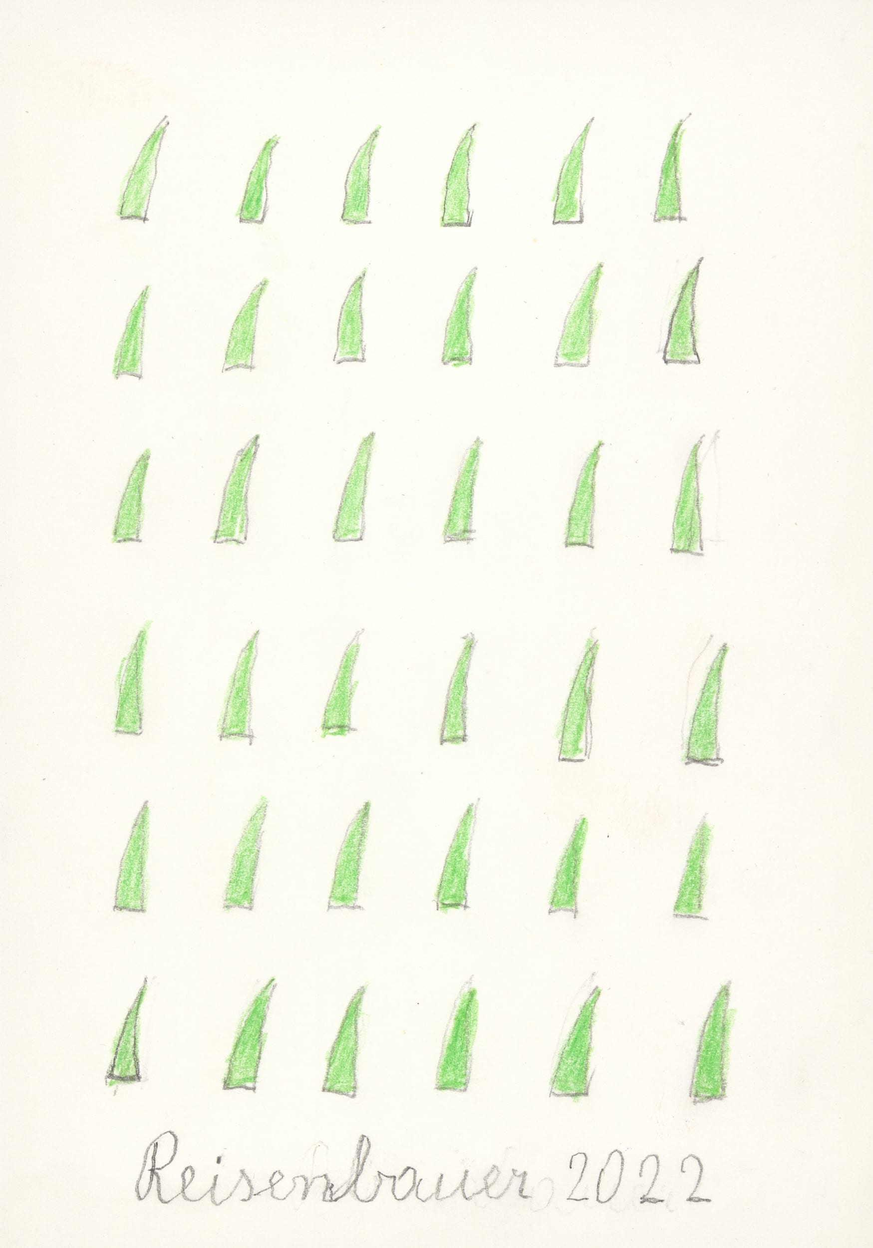 reisenbauer heinrich - Grashalme / Blades of grass