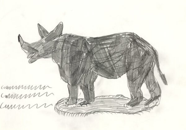 Nashorn / Rhinoceros - kamlander franz