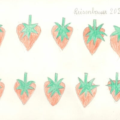 Erdbeeren / Strawberries