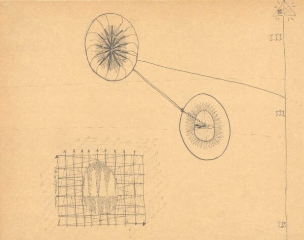 maria bussmann & jürgen tauscher - curated by sara kay