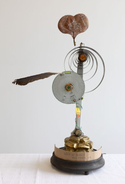 David Staretz, Wild at Heart, 2016.