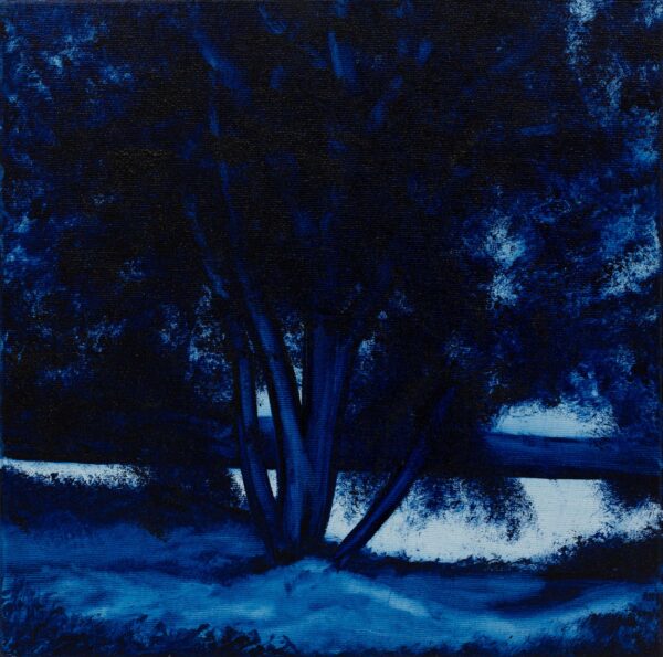 baum in der Brandung / tree in the surf - Marko Djurdjevic