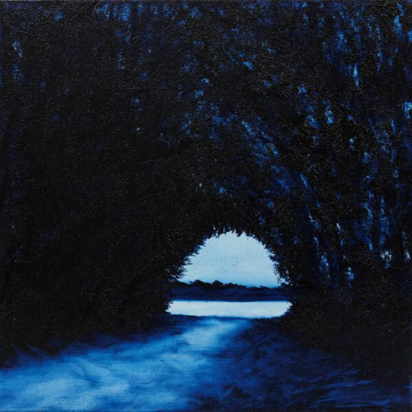 Nachtpfad zur Donau/Night walk to the Danube - djurdjevic marko