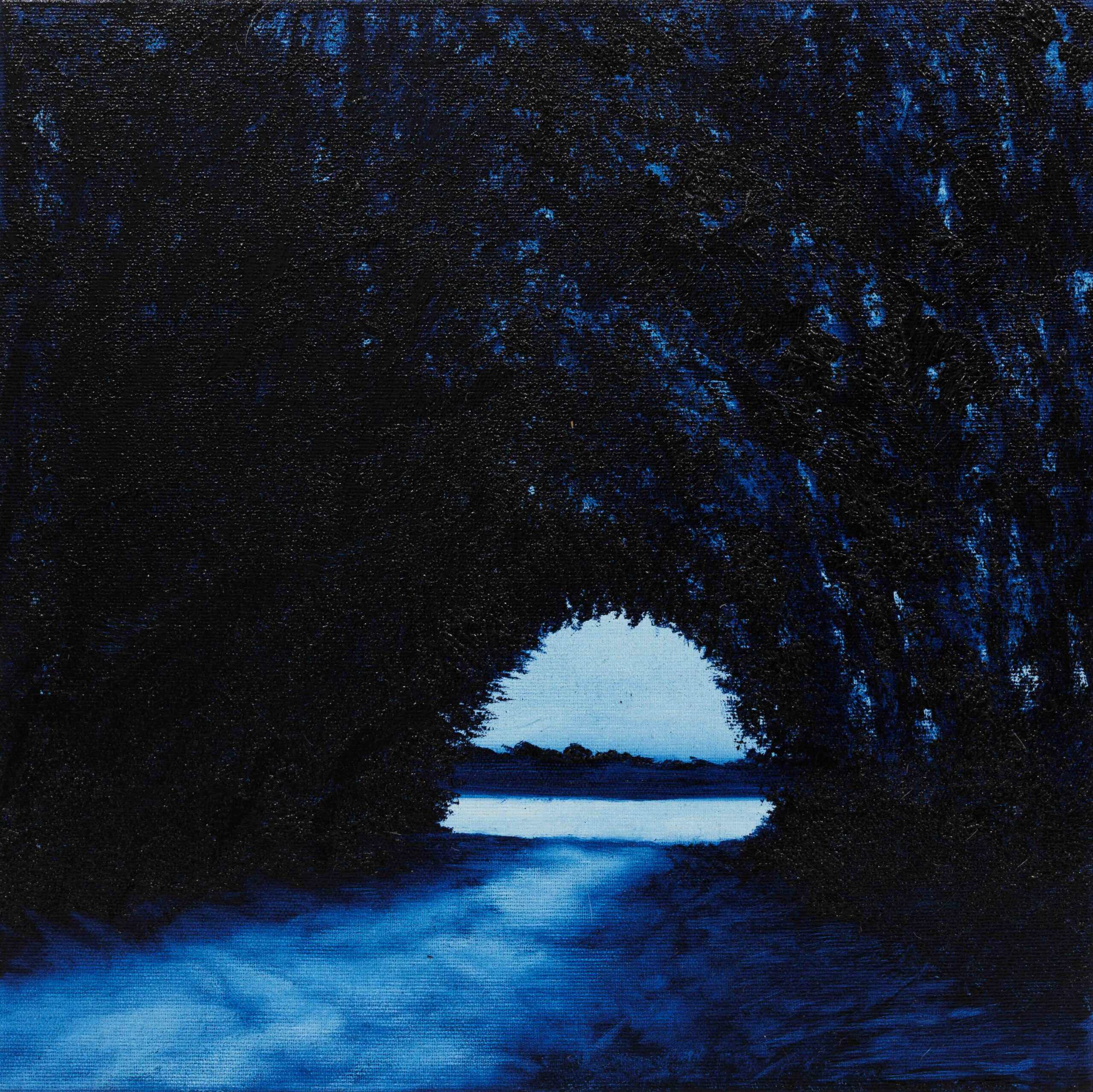 djurdjevic marko - Nachtpfad zur Donau/Night walk to the Danube