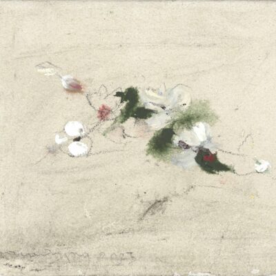 Peter Krawagna, Marillenblüte, 2025.