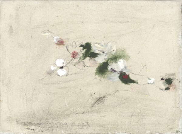 Peter Krawagna, Marillenblüte, 2025. - Krawagna Peter