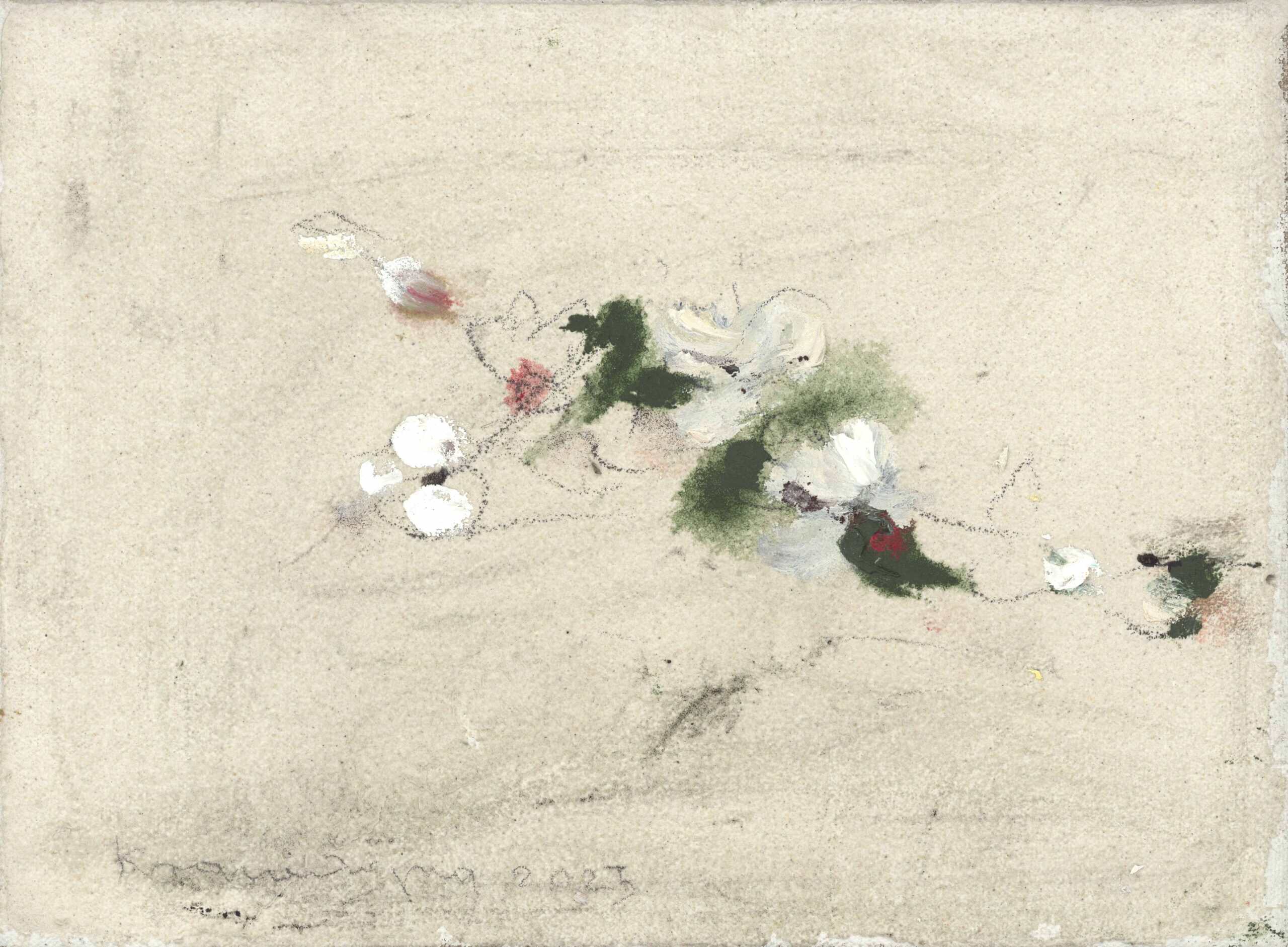 Krawagna Peter - Peter Krawagna, Marillenblüte, 2025.