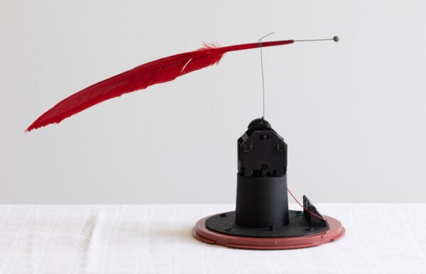 Ohne Titel / Untitled - Staretz David