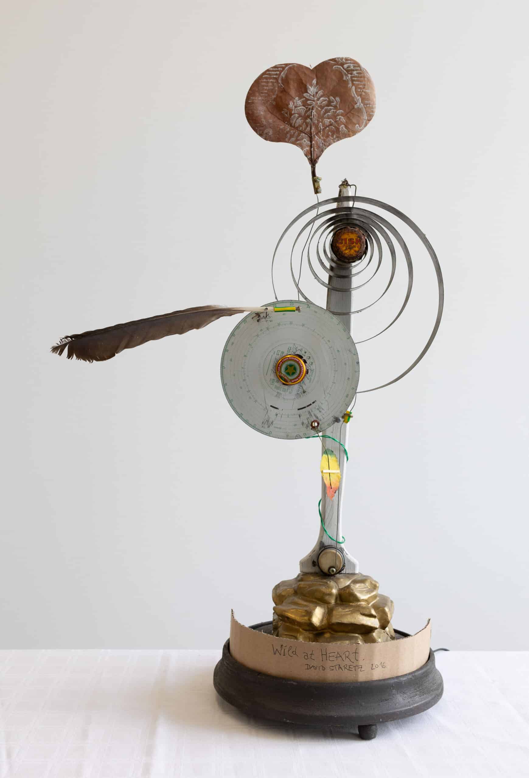 staretz david - David Staretz, Wild at Heart, 2016.