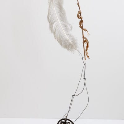 musenkuss / musekiss