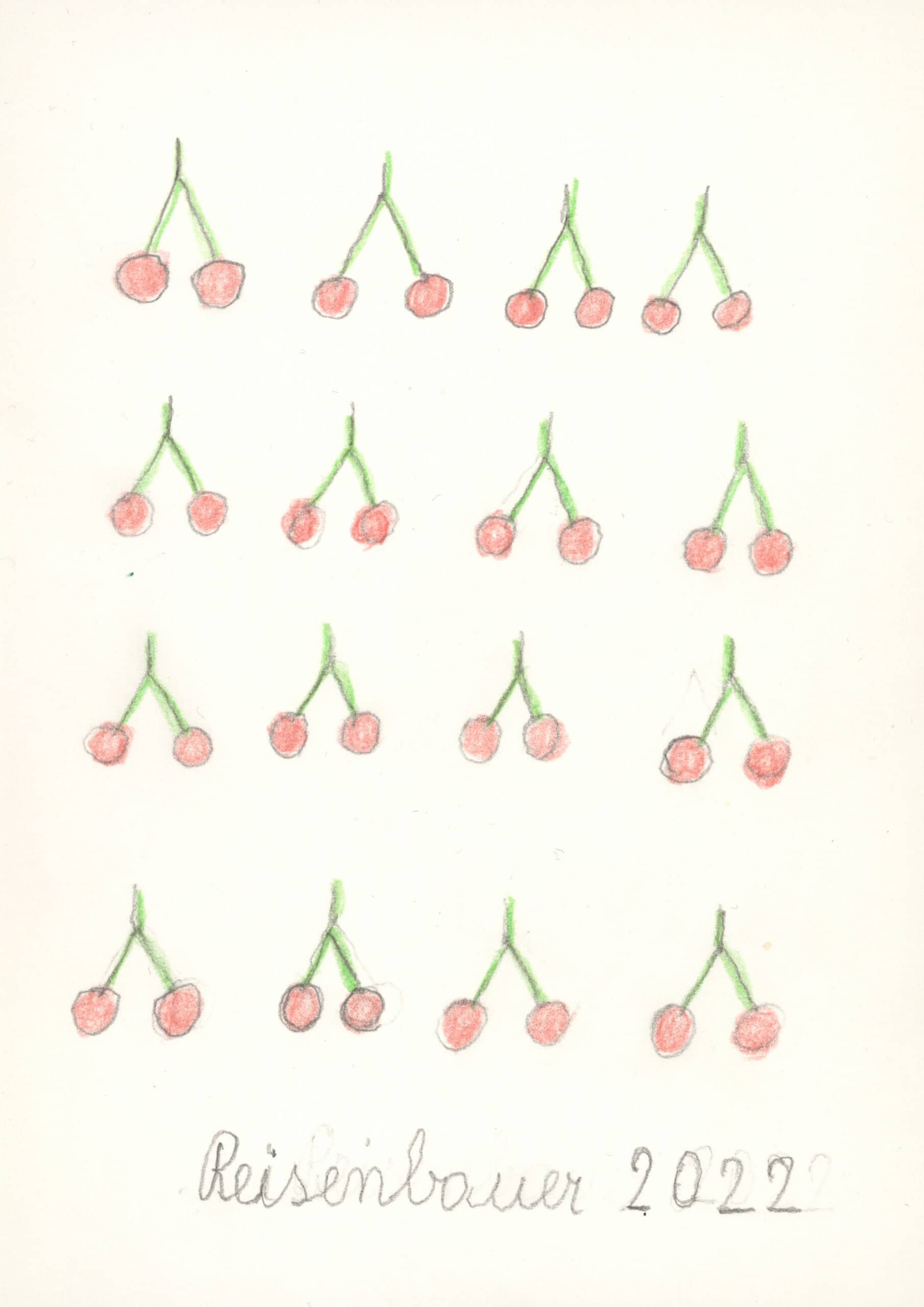 reisenbauer heinrich - Kirschen / cherries