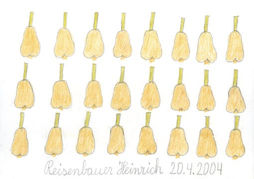 reisenbauer heinrich - Birnen / pears